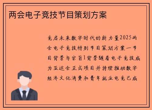 两会电子竞技节目策划方案